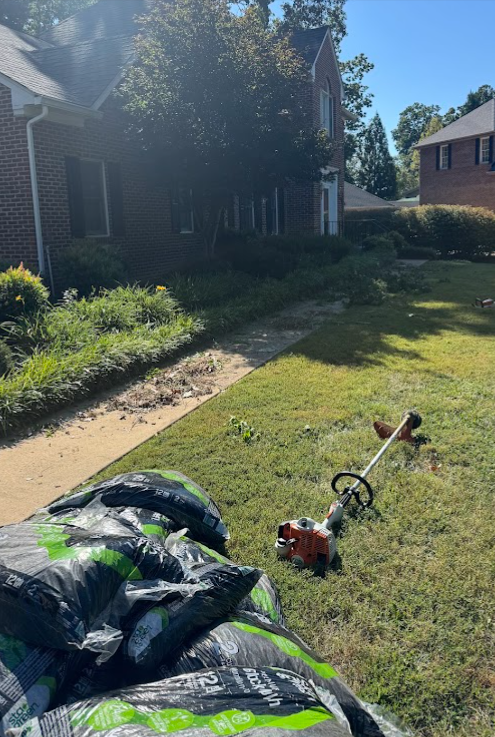 Yard cleanup and mulch prep